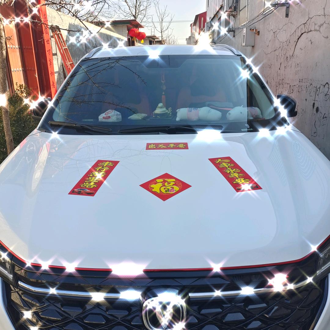 (｡･ω･｡)ﾉ♡安心为王 2025