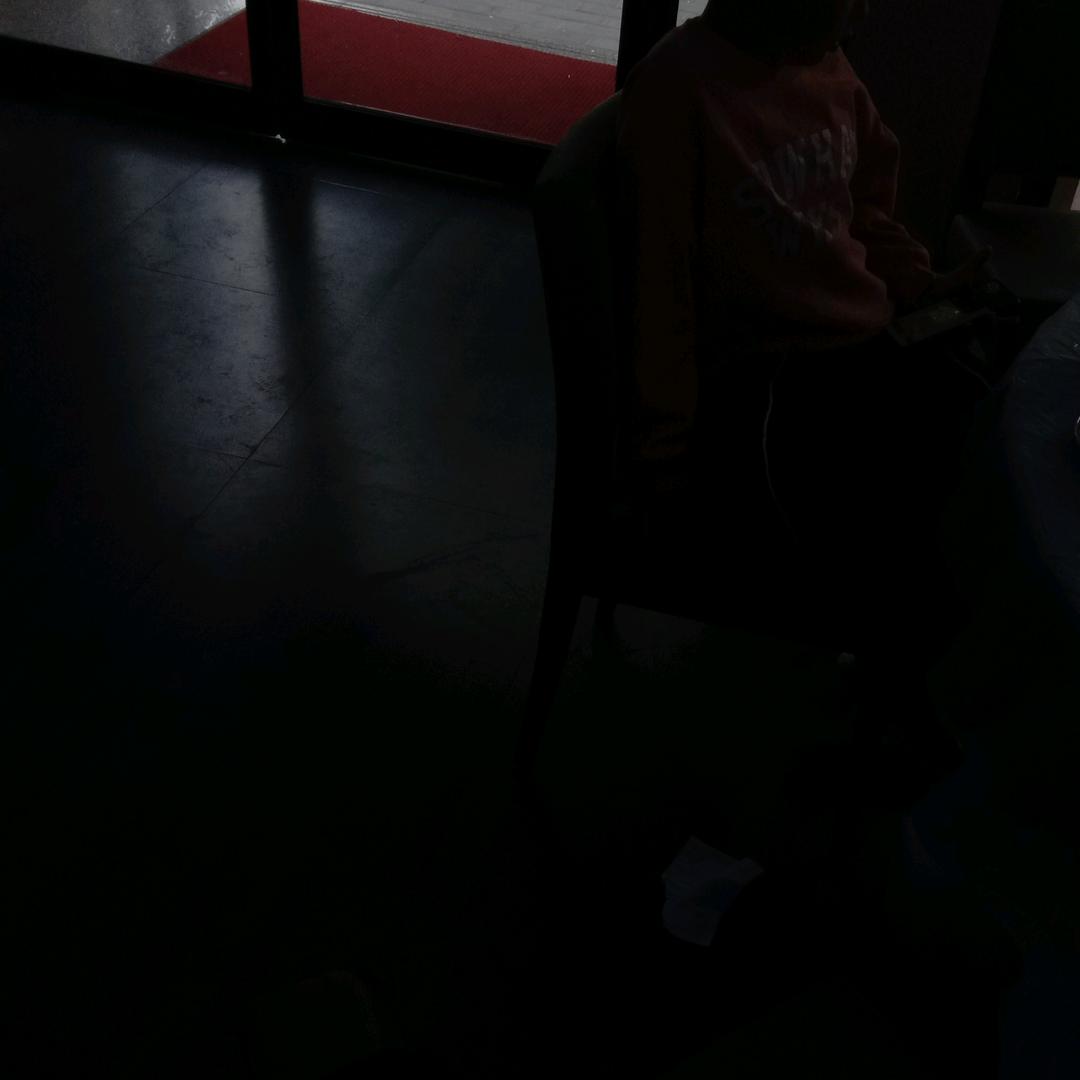 常青树