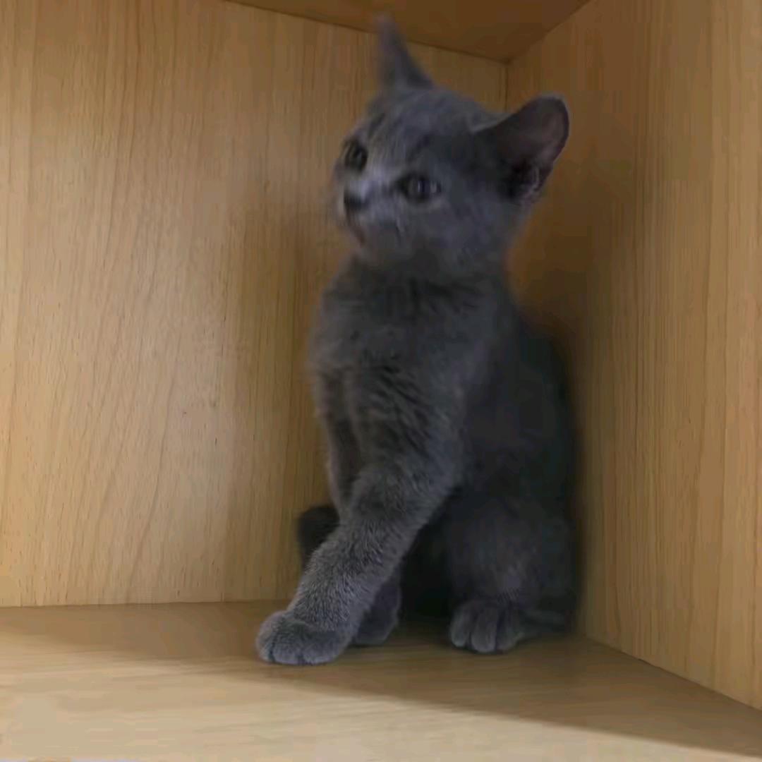 人有所爱