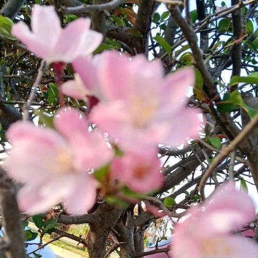 ✨✨一切顺利✨✨