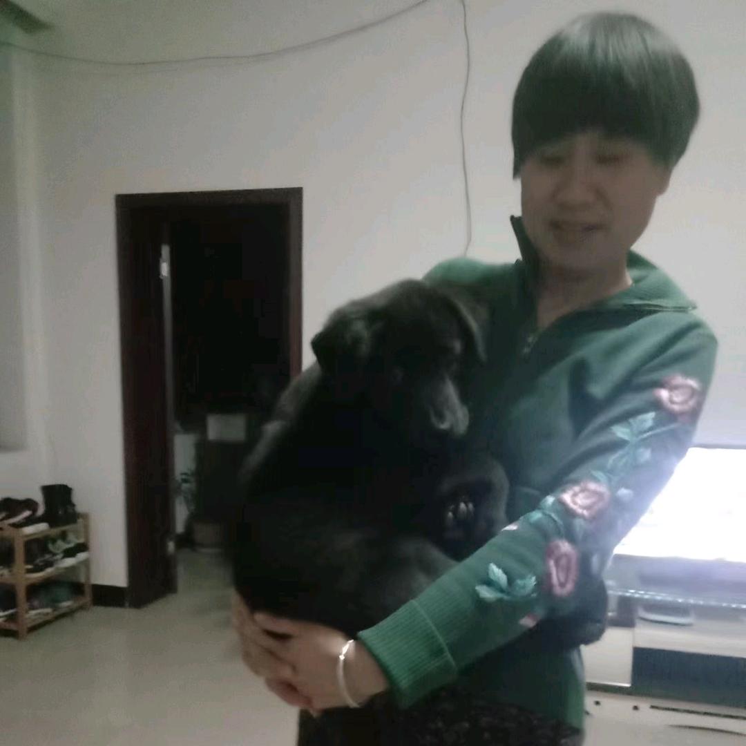 如心所愿