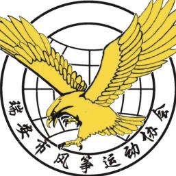 传统运动风筝