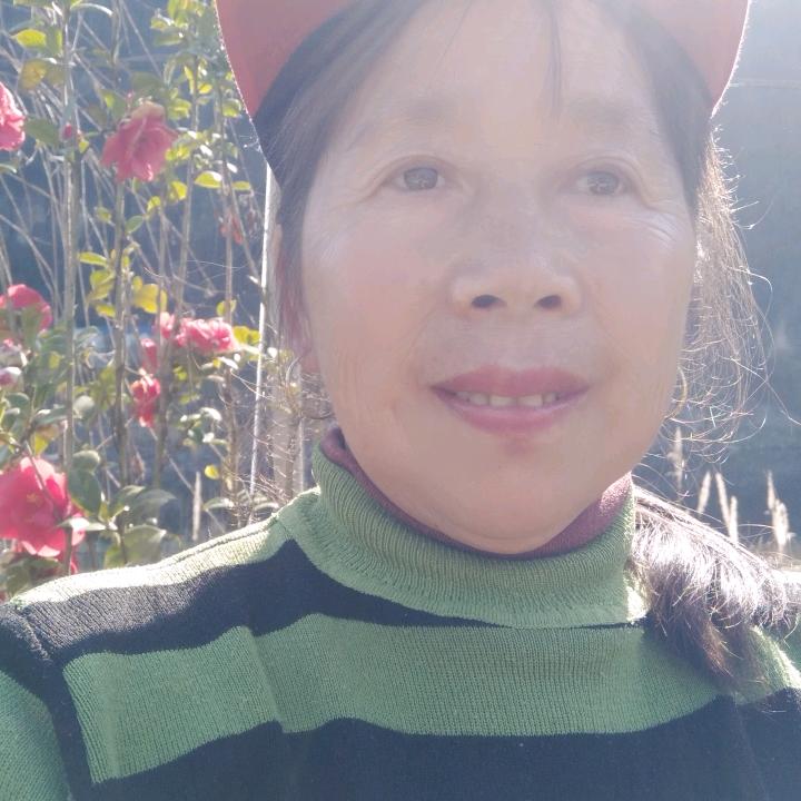 兰姐