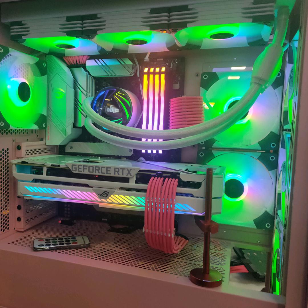 赳赳老秦