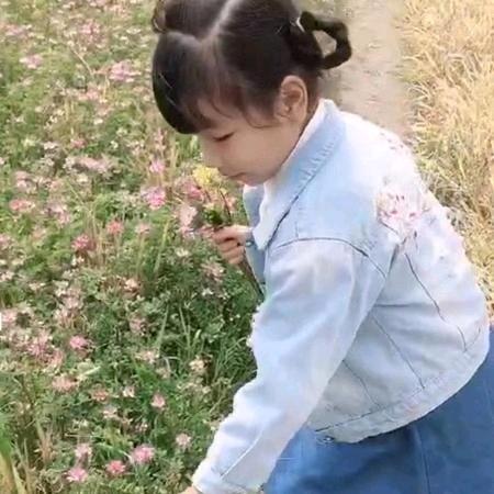 青鸟