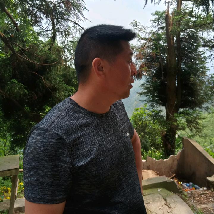 竹报平安竹炭竹筷竹签