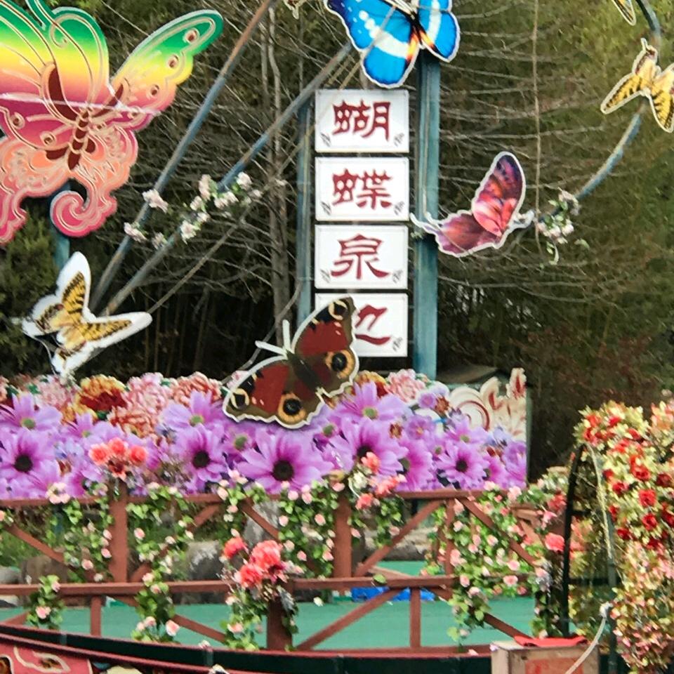 海盗船长