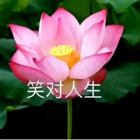 往后余生