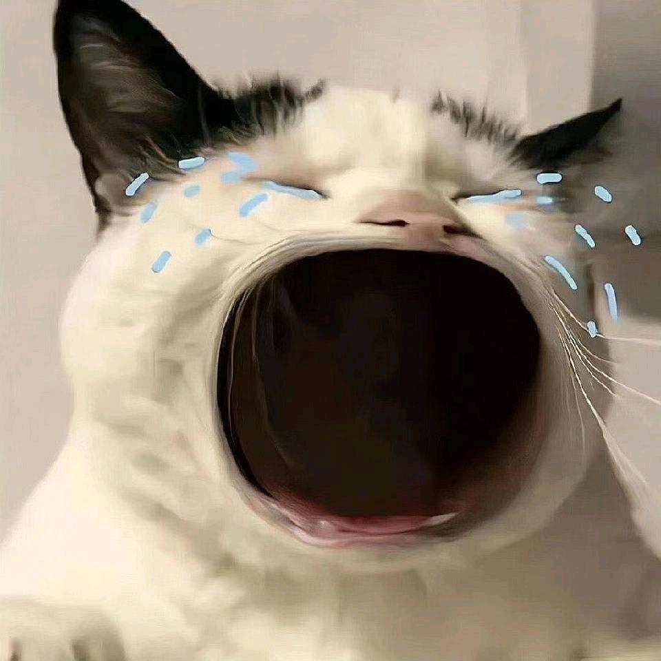 大大怪