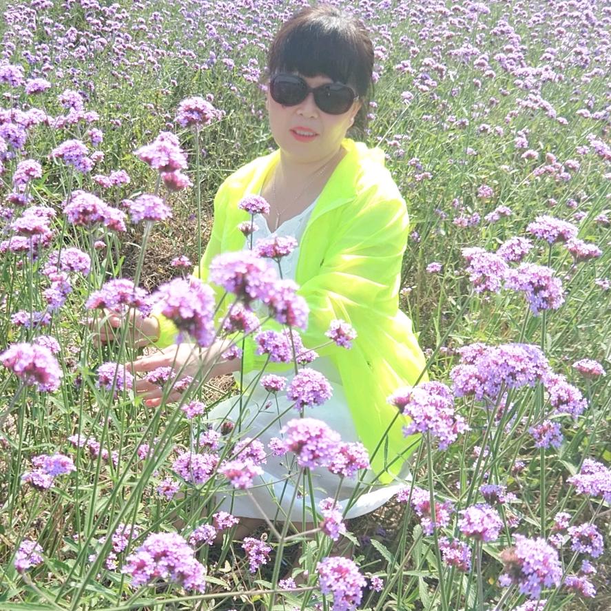 芝芝