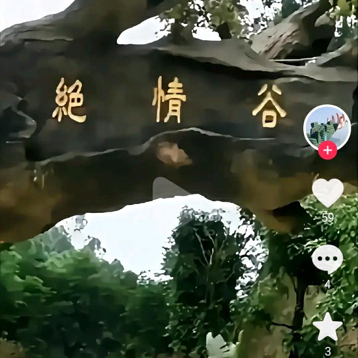 《猛 龙 过 江》