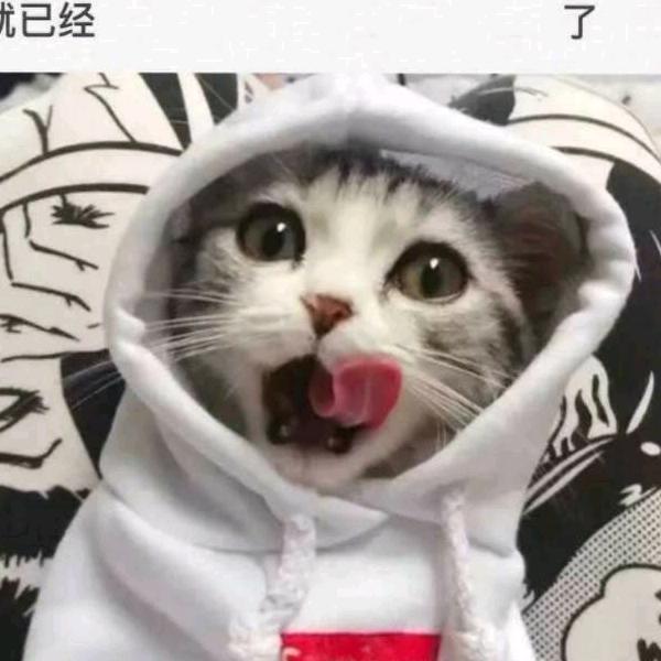 小张在干嘛