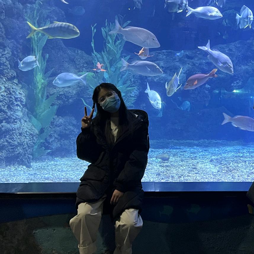 嘿嘿嘿嘿嘿嘿嘿嘿