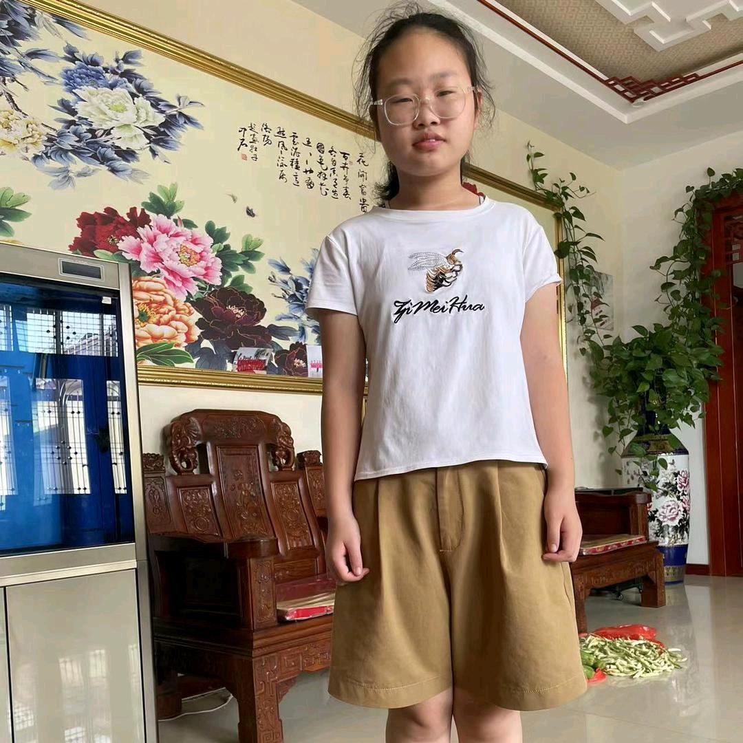 AA.青州鸿运科技有限公司，大展宏图，