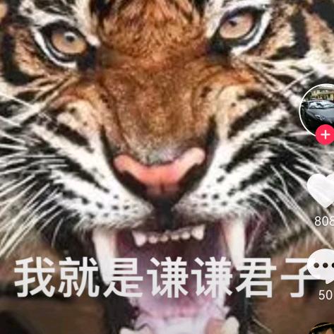 风雨云
