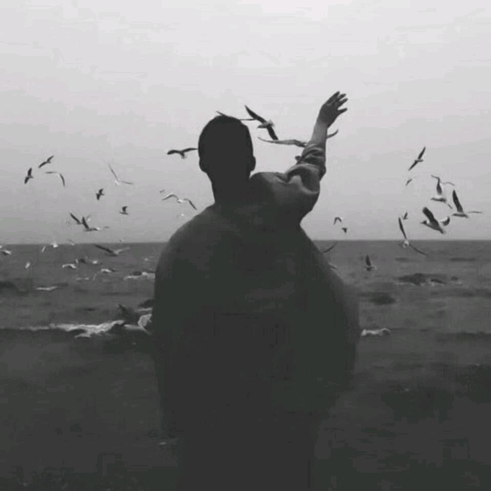 青衫如故-