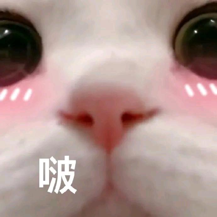 多读书