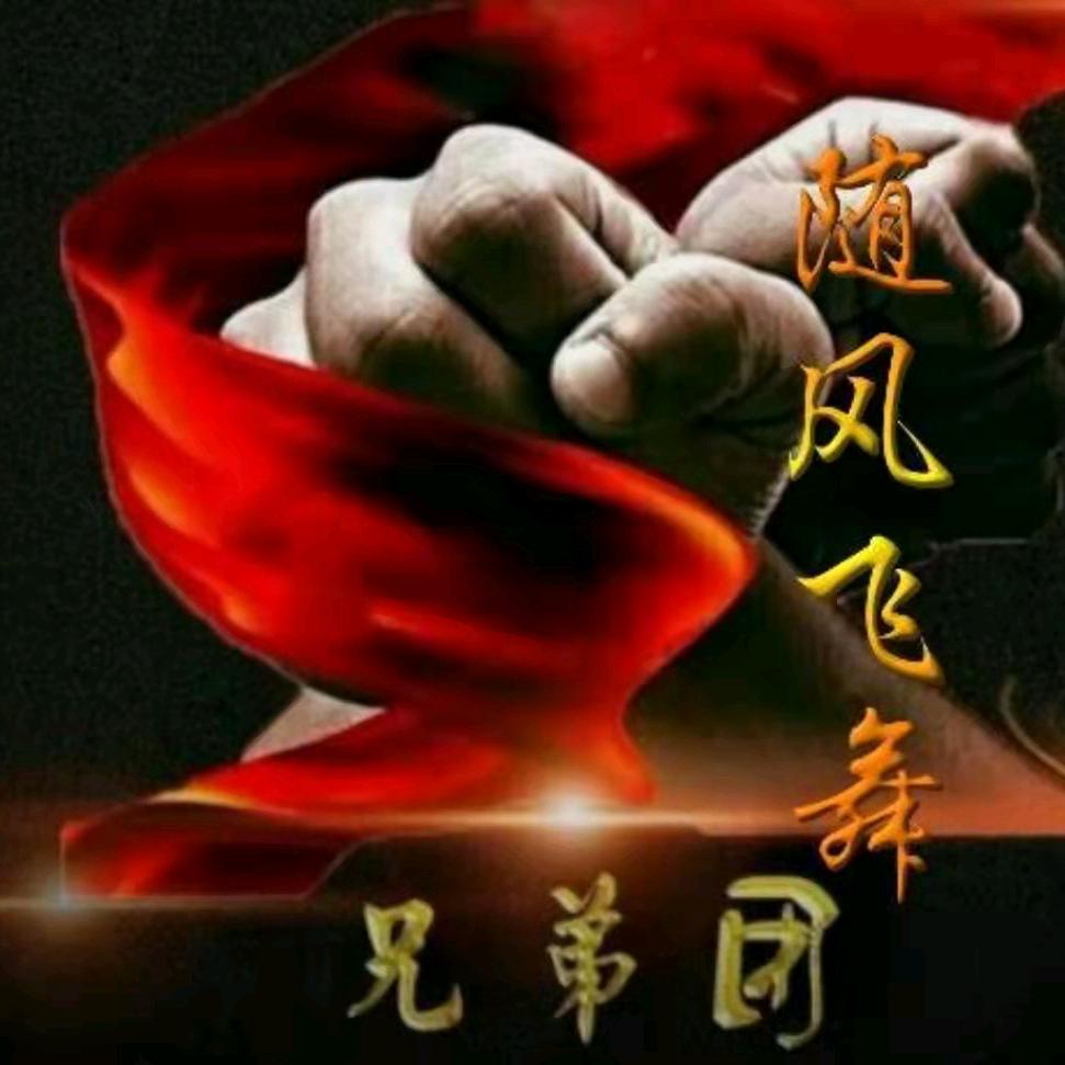 随风飞舞