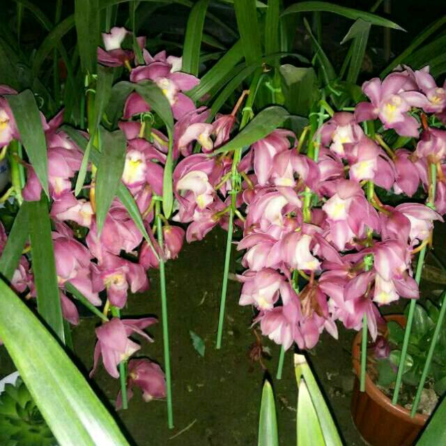 家有3宝（拒聊）