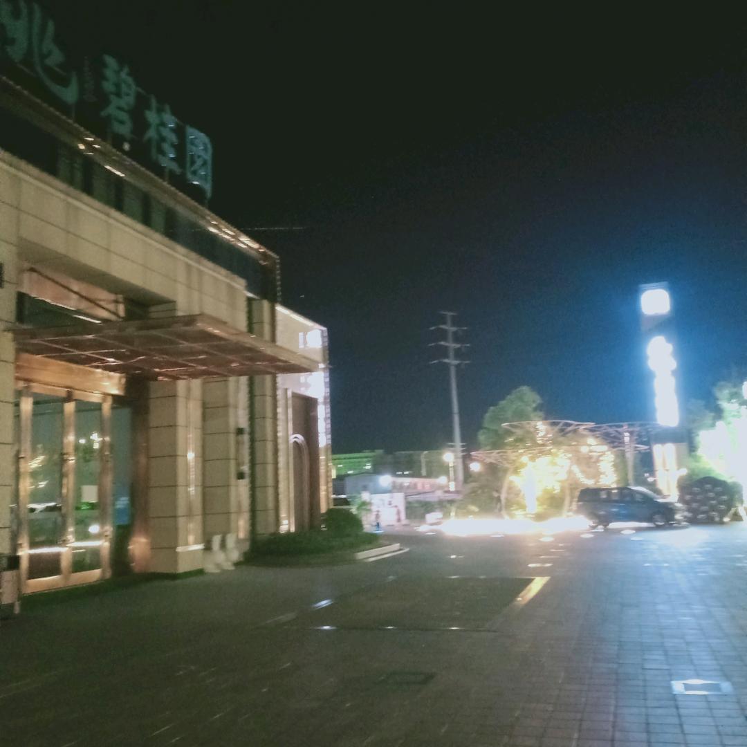 善缘
