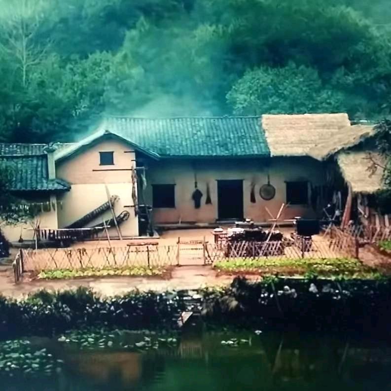 雁南飞