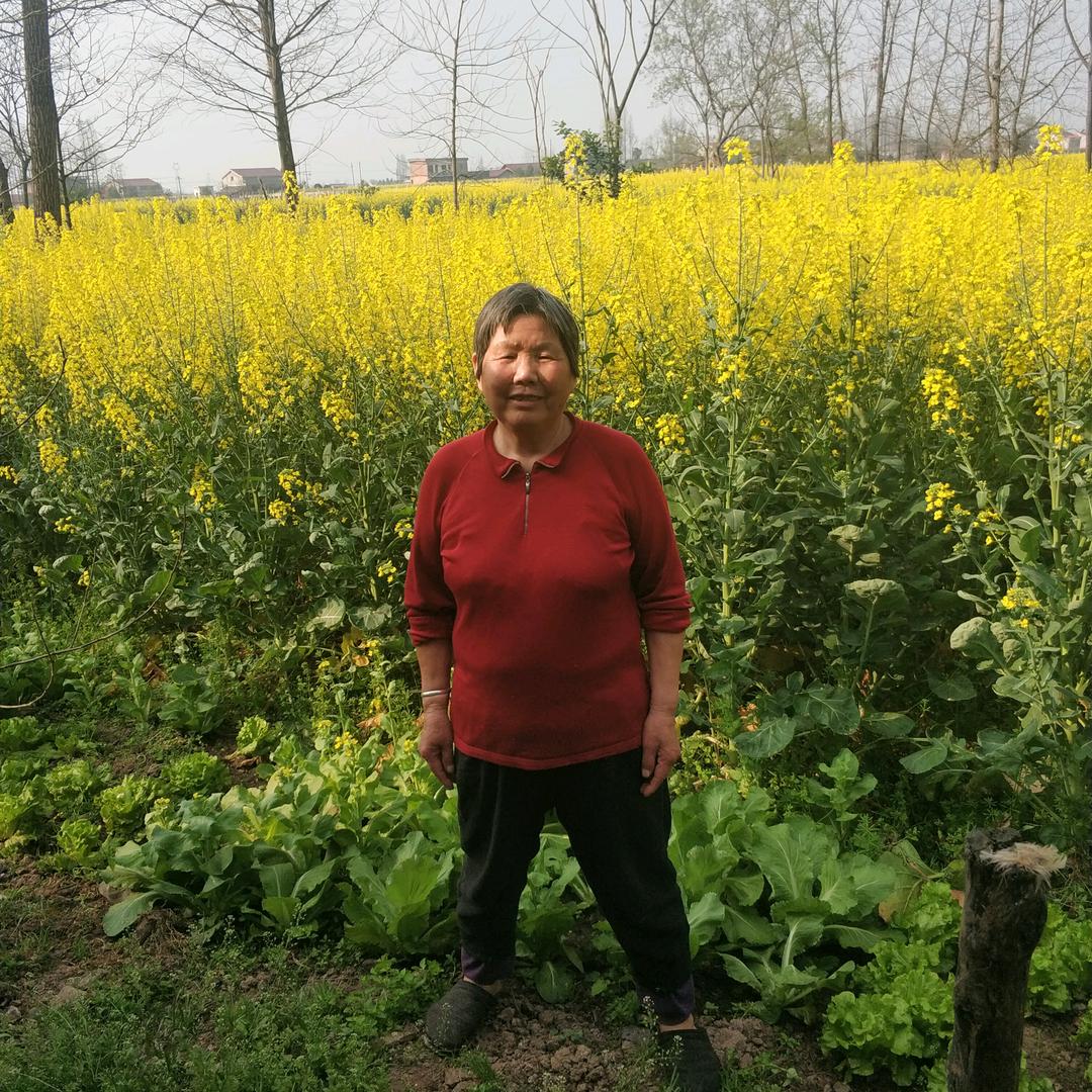 戴梅芝