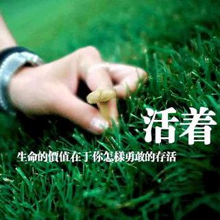 雁子拒微