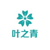 叶之青
