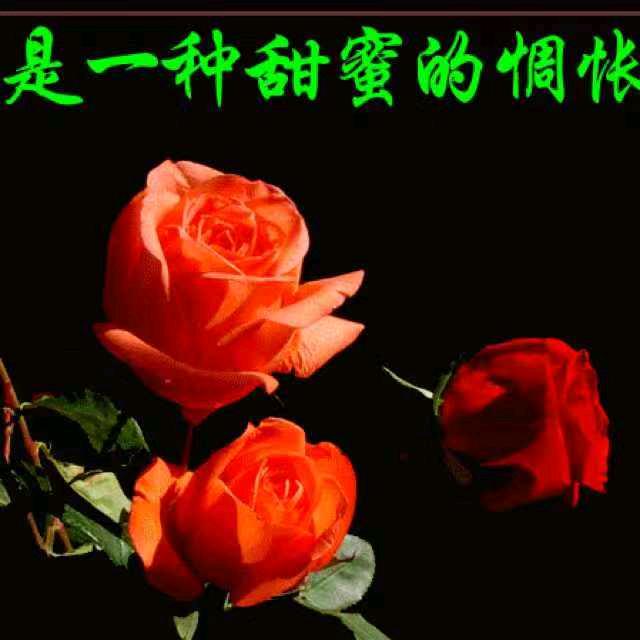 陈锦标🇨🇳🇨🇳🇨🇳