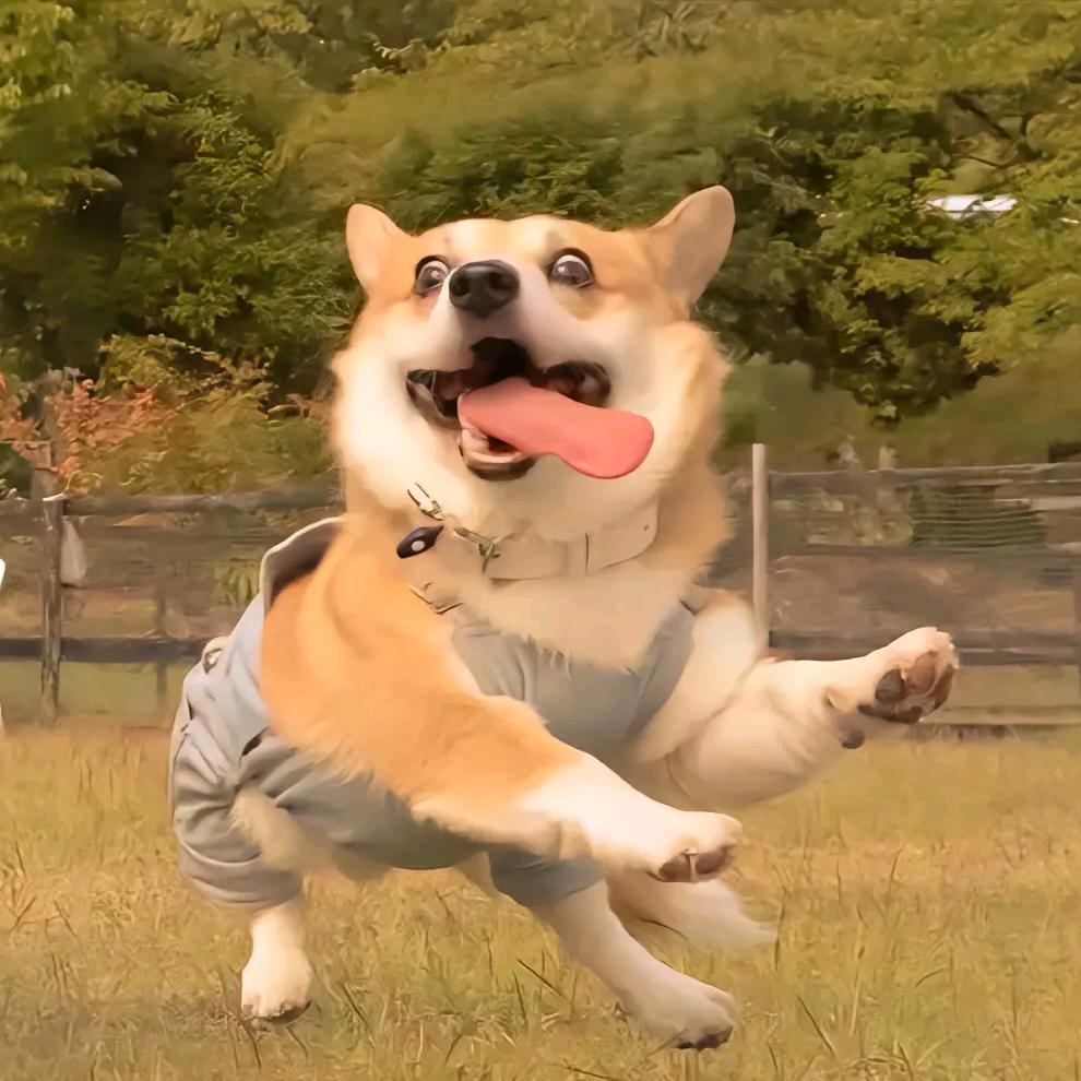 辰儿