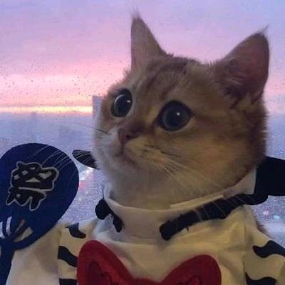 双林