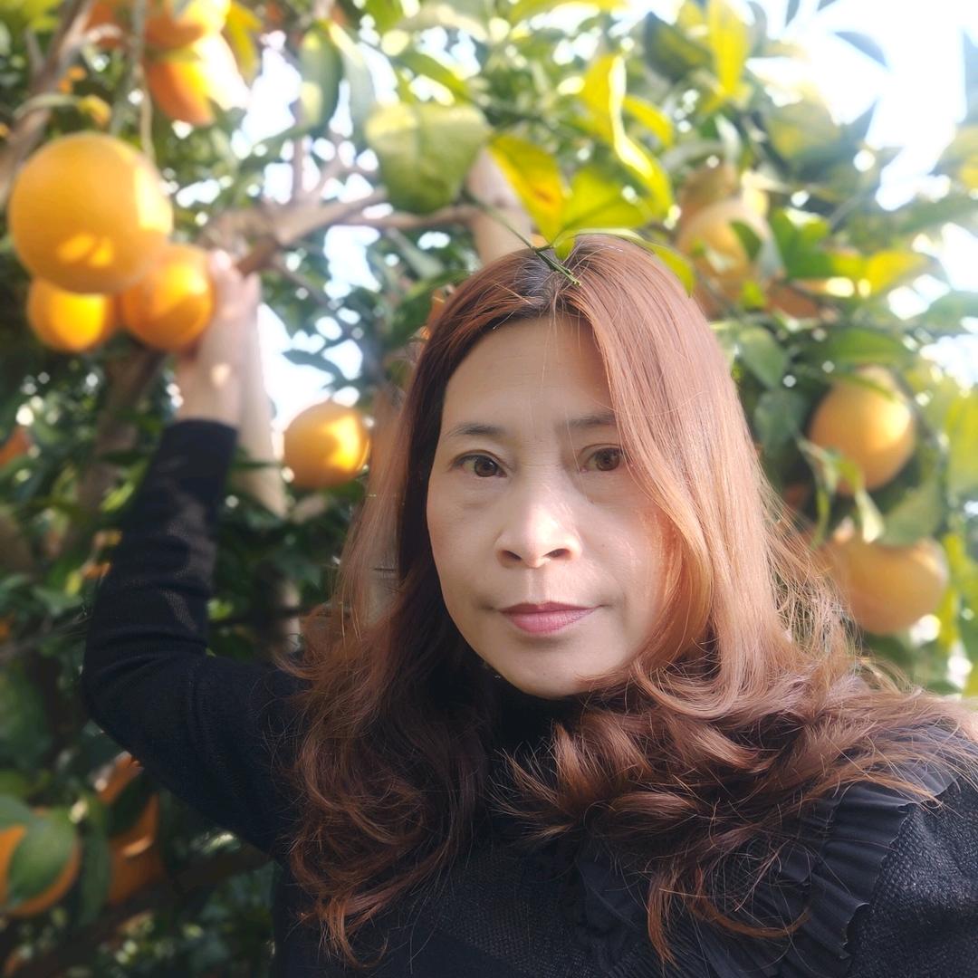 红红火火