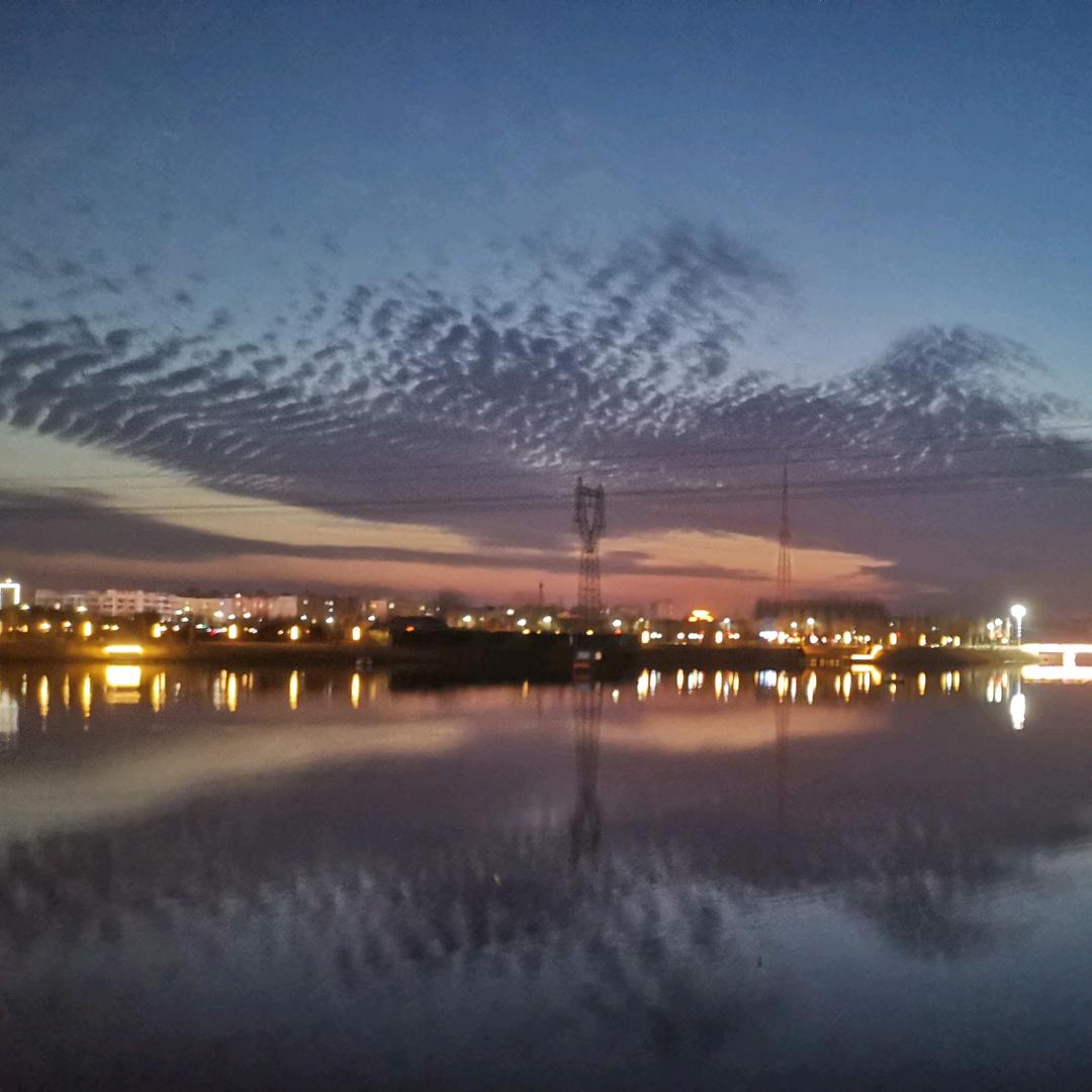 大呲花