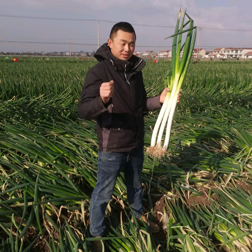 小丁说大葱
