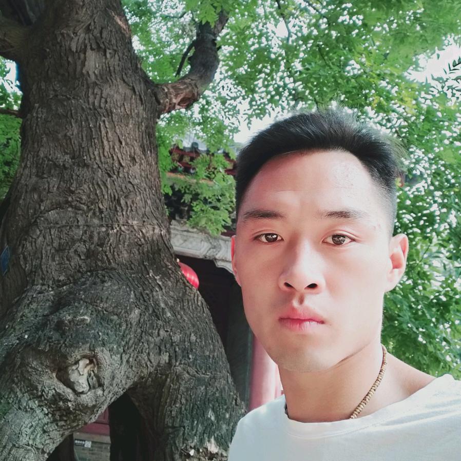大朱寨王震唢呐