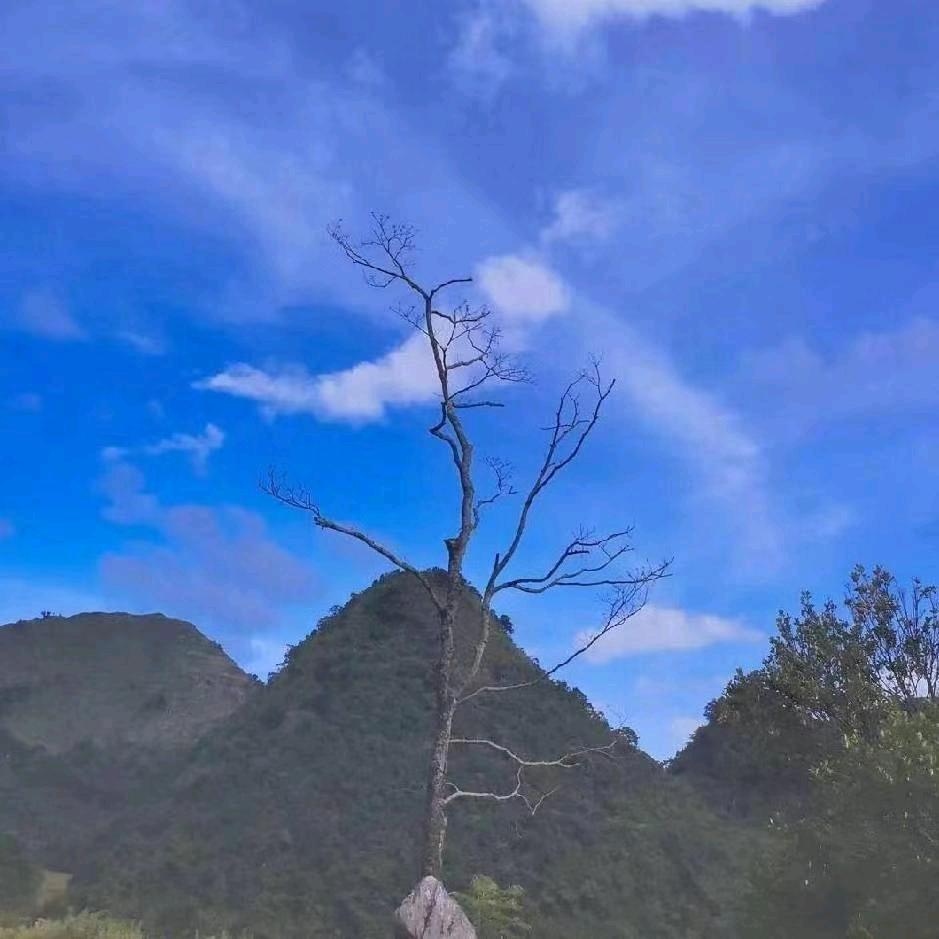 源旭油漆批发（三角洲）