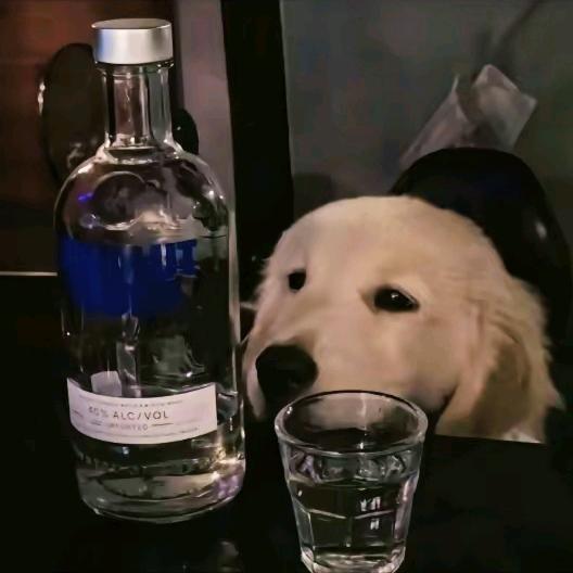 🌈🌈🌈夜来风雨声