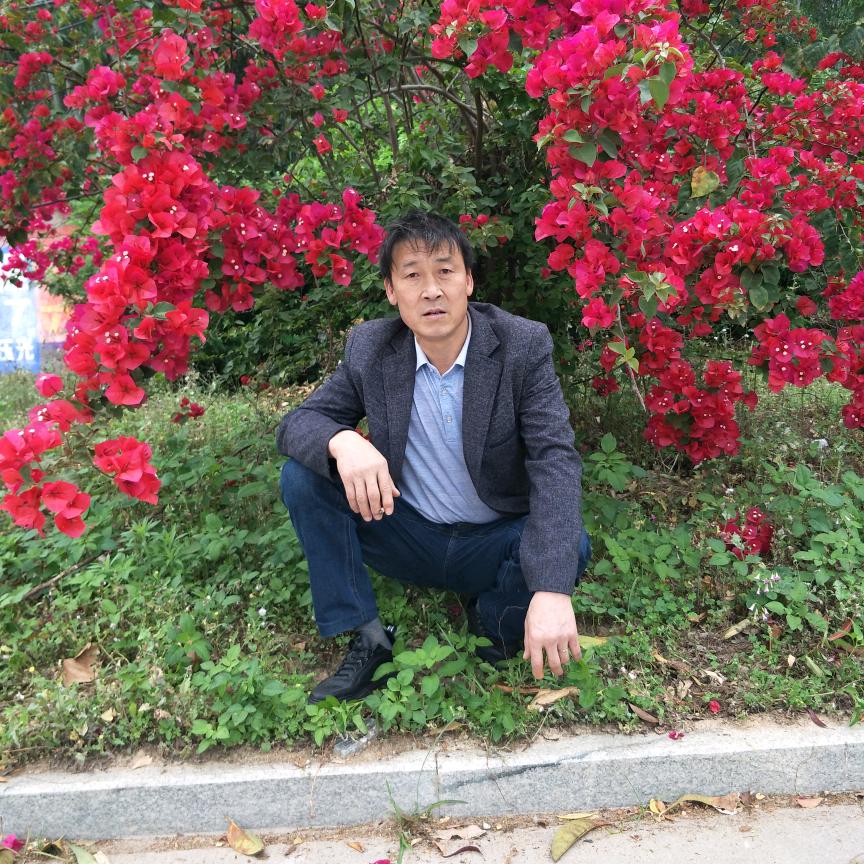 不老仙