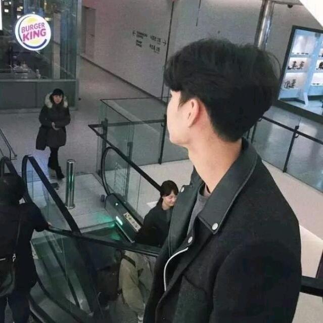布朗狸狸