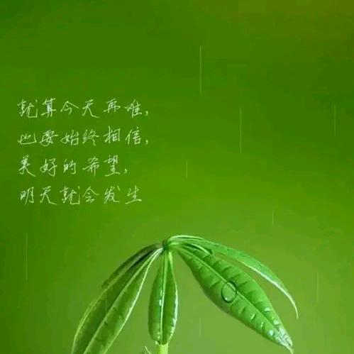 晨拽拽