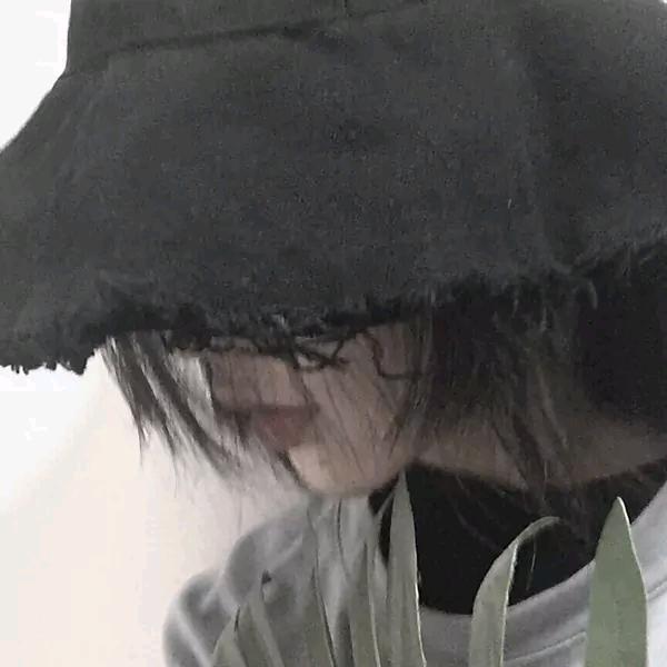 贰 八 佳 人 📷