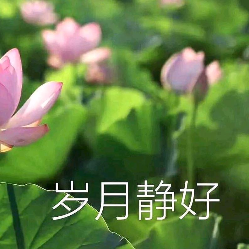 好久不见🍀