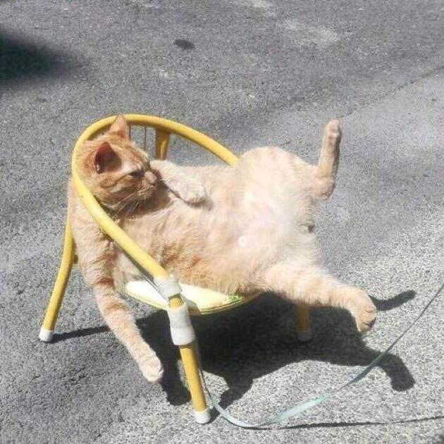 七七七七七七七