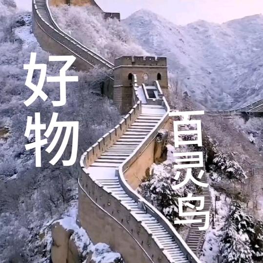 百灵鸟好物