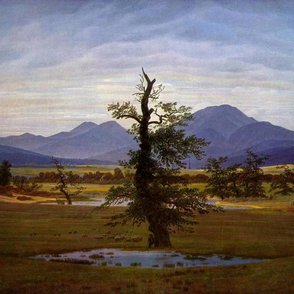 紫树-日盛ADC发泡剂原粉