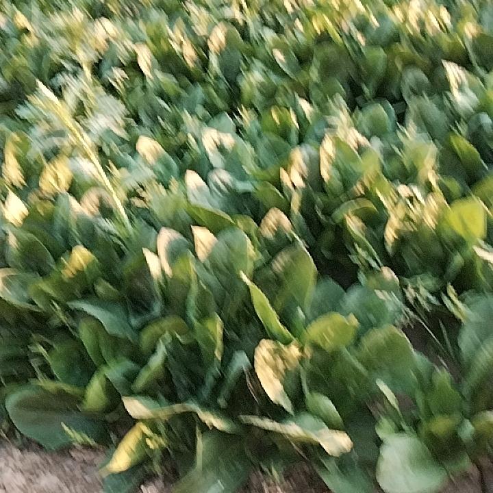 坦然面对
