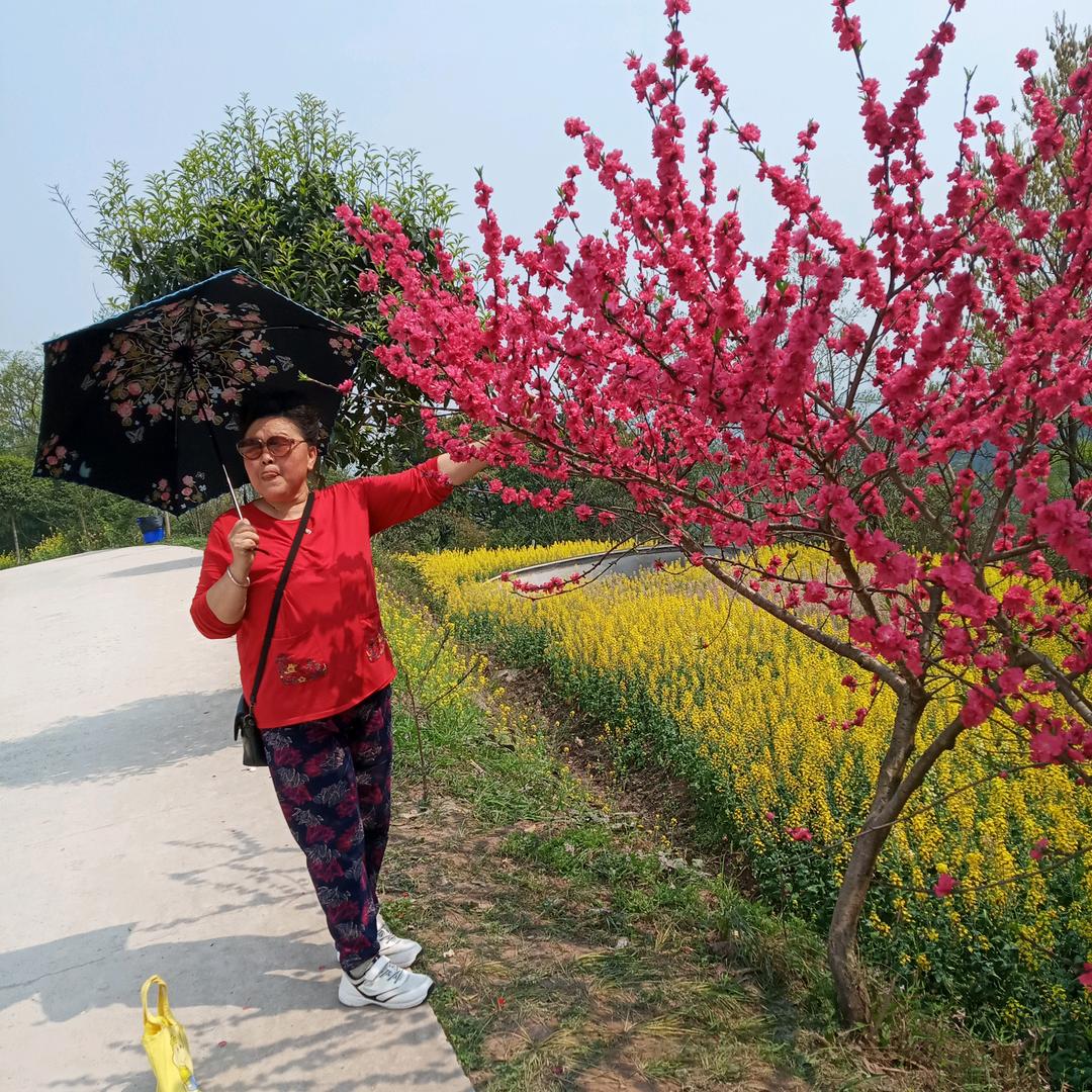唐大姐