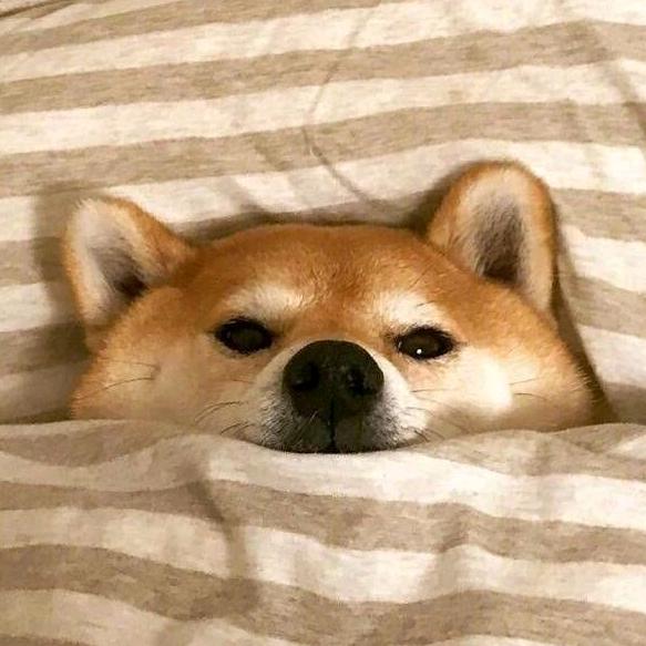 刚好。