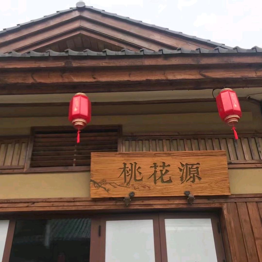 陶乐君