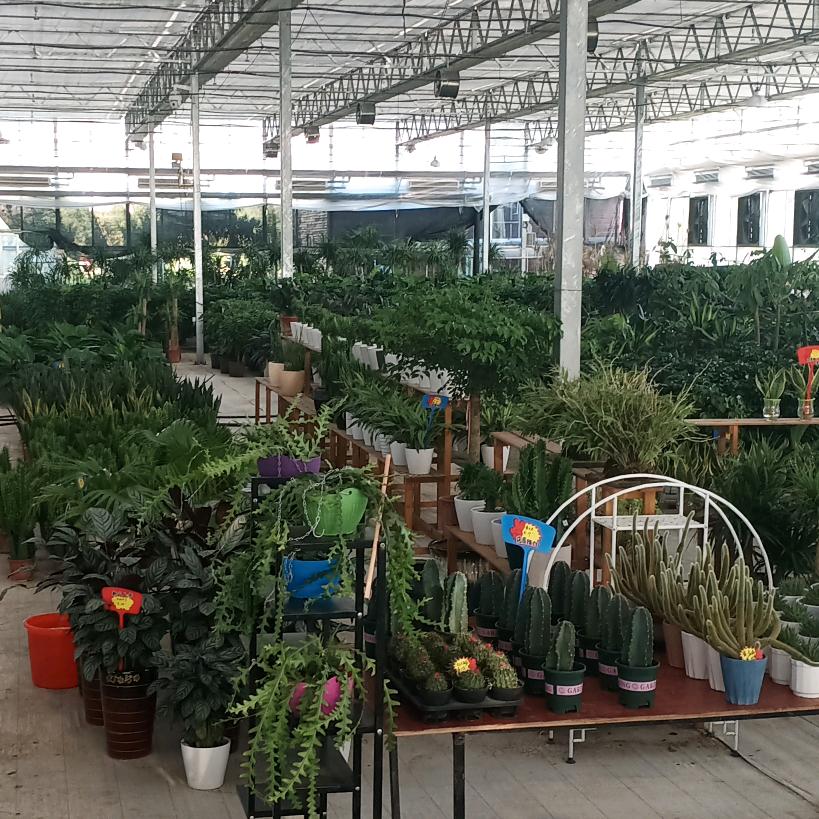 嘉兴衡禾农业科技发展有限公司